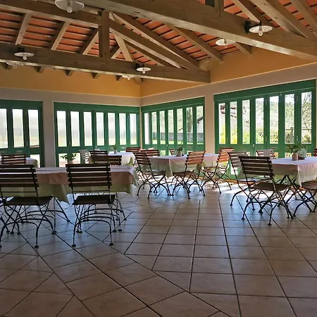 Skok 4* Sezana